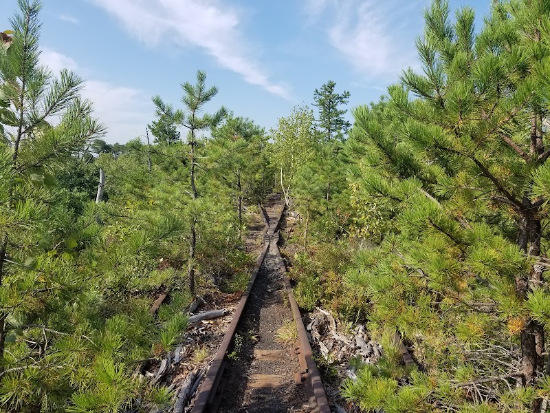 Edgewood Oak Brush Plains Preserve photo 4