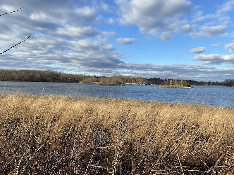 Edith G. Read Natural Park and Wildlife Sanctuary photo 5