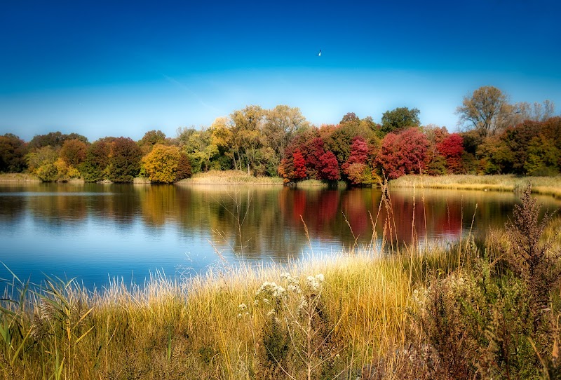 Edith Read Wildlife Sanctuary photo 5