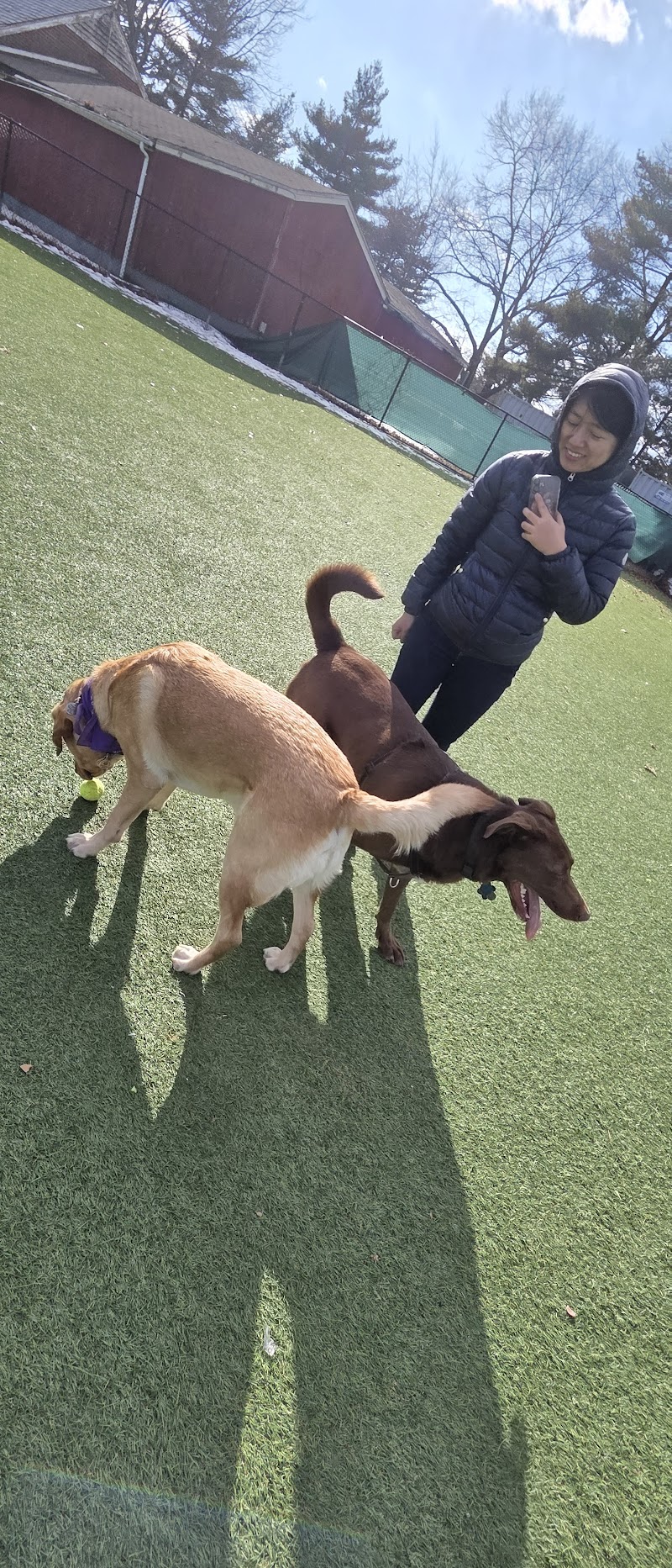 Eisenhower Dog Park photo 2