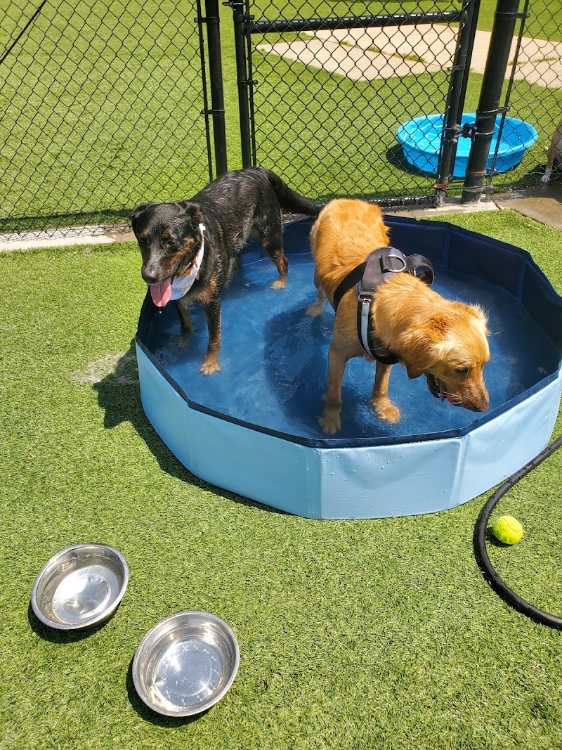 Eisenhower Dog Park photo 4