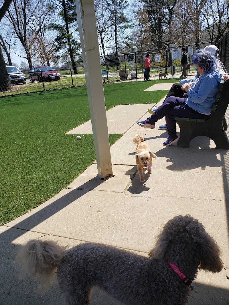 Eisenhower Dog Park photo 5