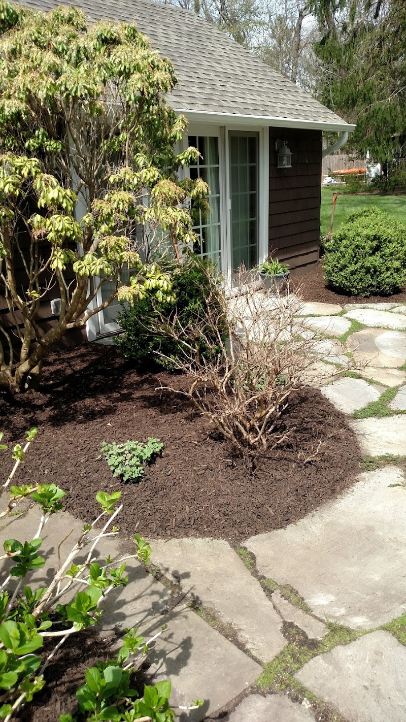 Emerson Park photo 5
