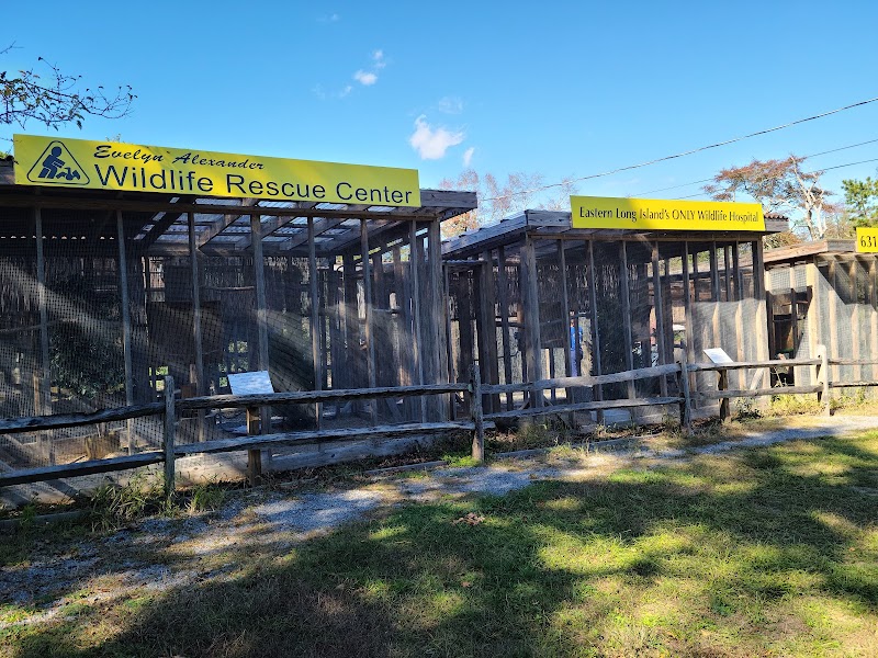 Evelyn Alexander Wildlife Rescue Center photo 2