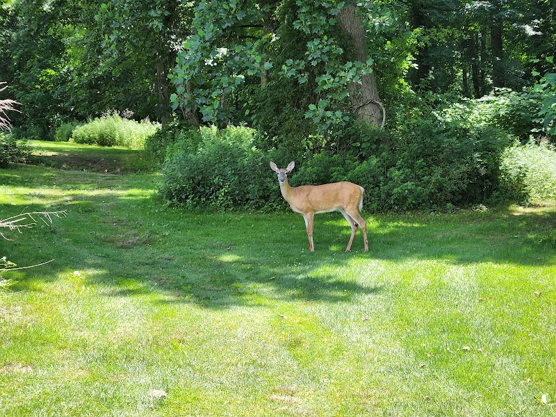 Fairchild Wheeler Golf Course photo 2