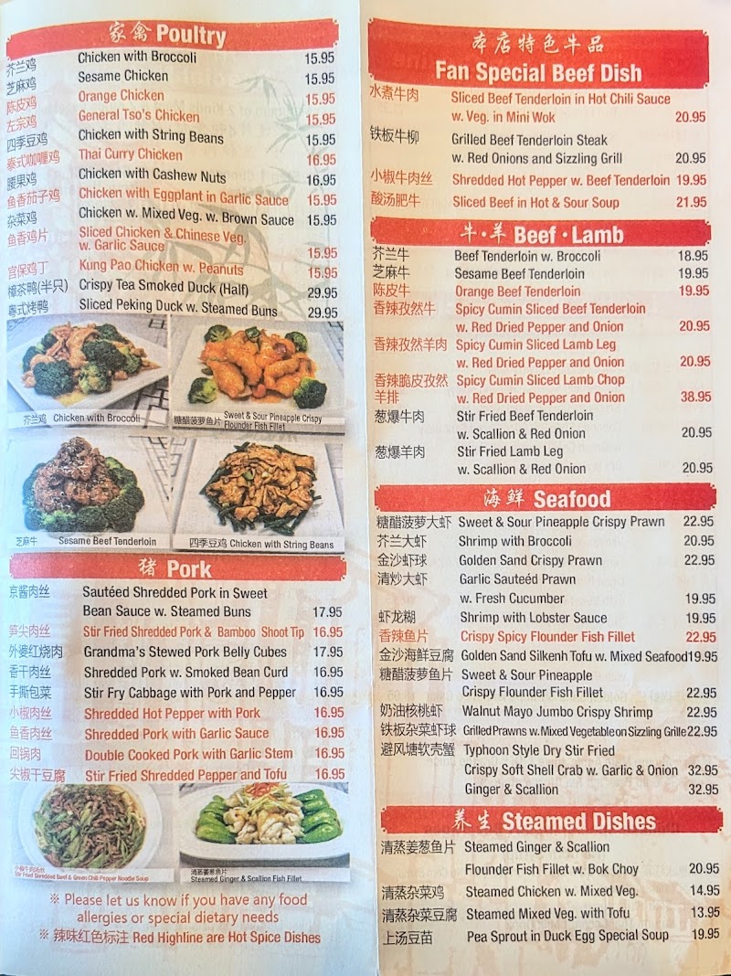 F•A•N Chinese Cuisine photo 3