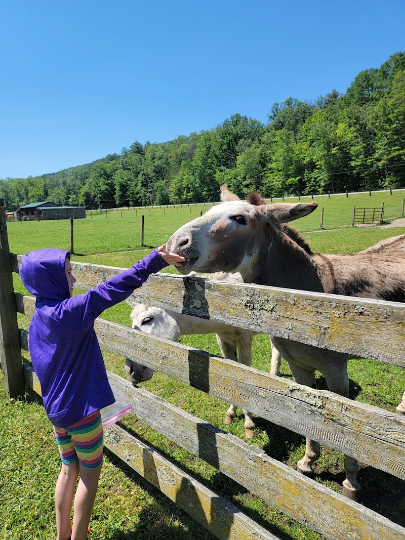Farmland Animal Park photo 3