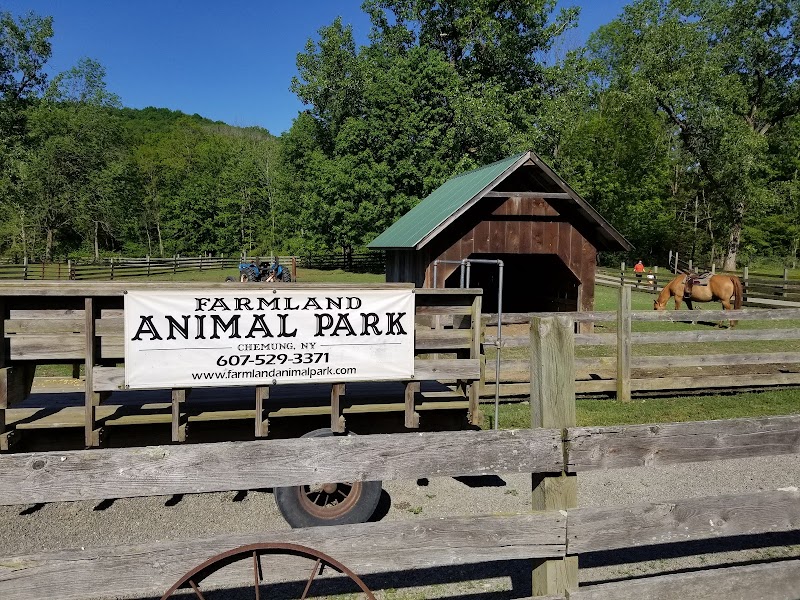 Farmland Animal Park photo 5