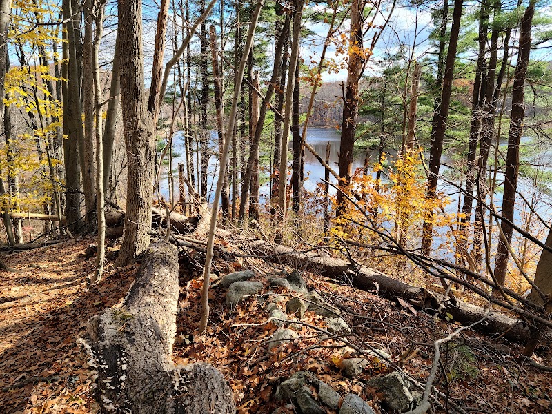 Farrington Woods photo 2