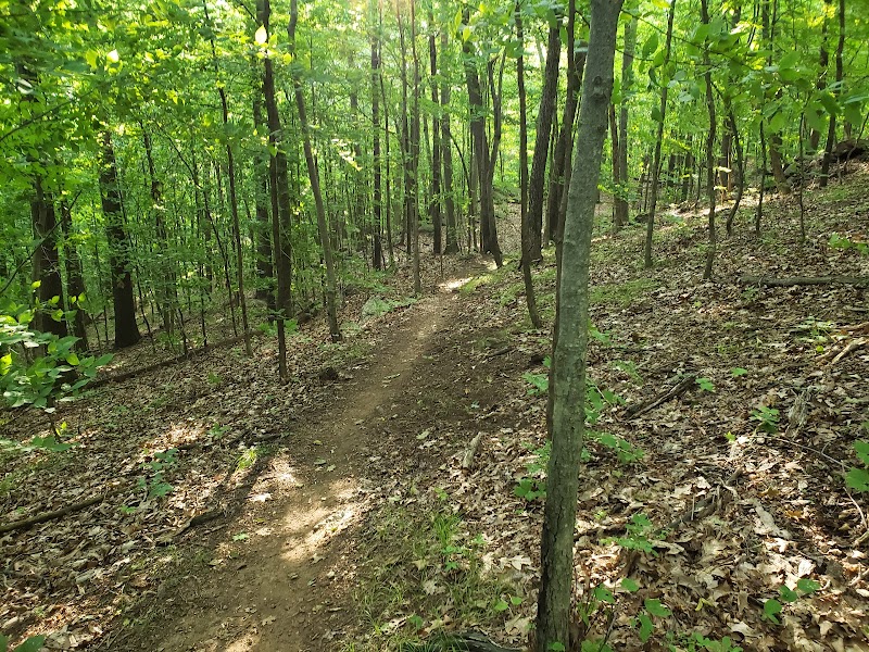 Farrington Woods photo 3