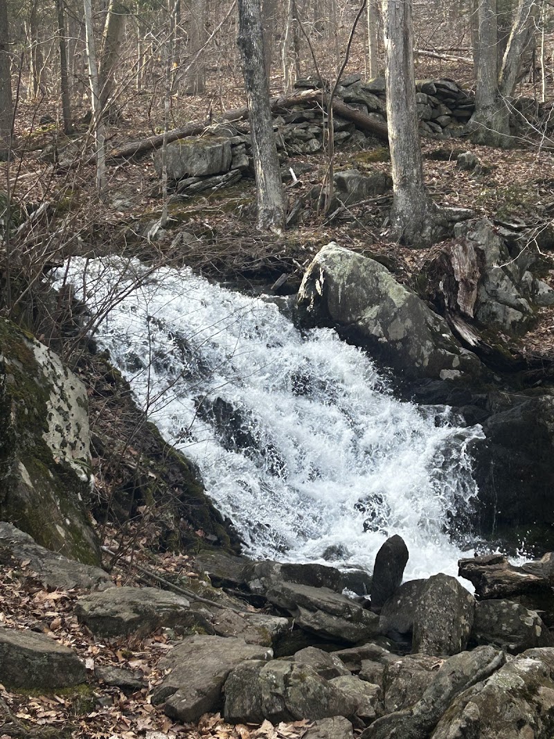 Farrington Woods photo 5
