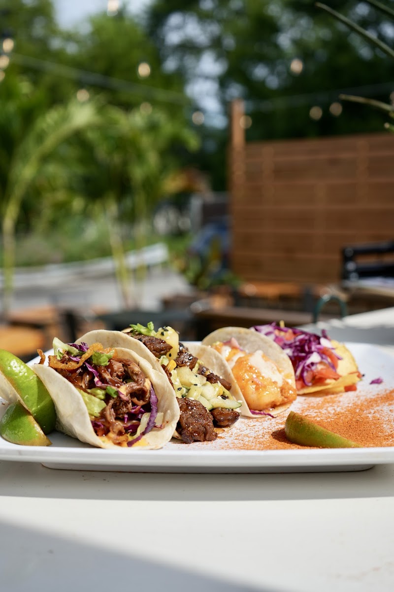 Fat Boy's Burrito Co. photo 4