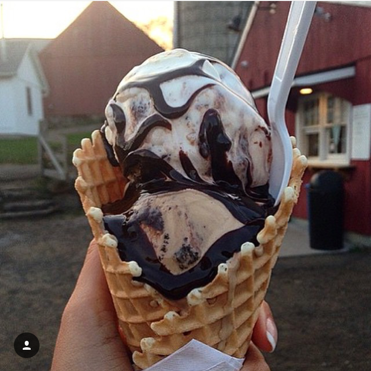 Ferris Acres Creamery photo 2