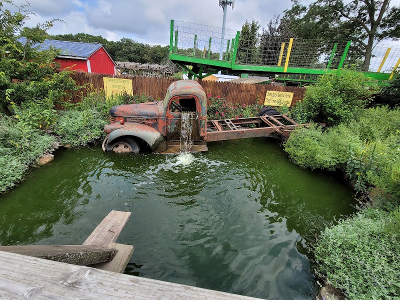 Fink's Country Farm photo 2