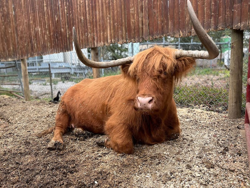 Fink's Country Farm photo 3