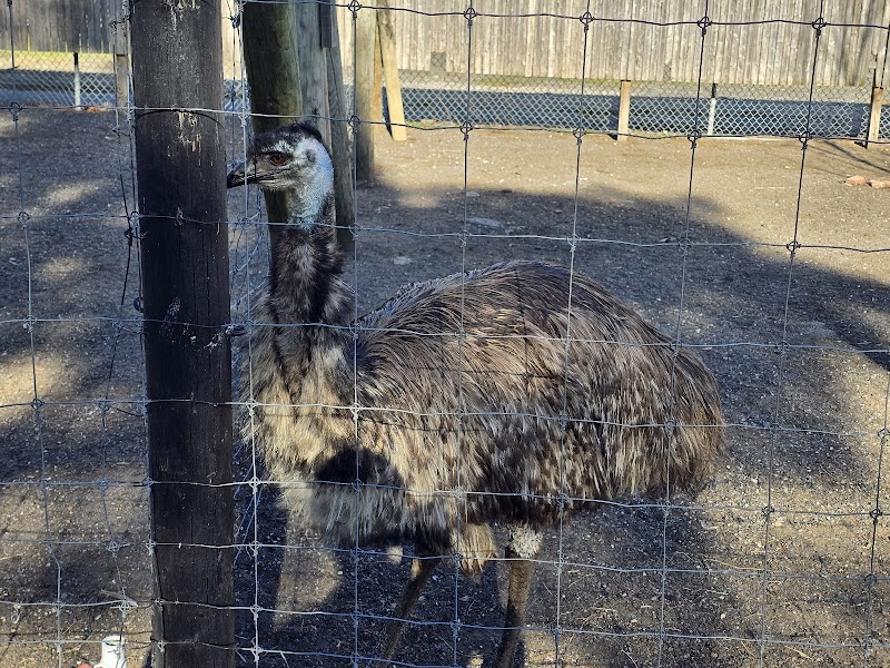 Fink's Country Farm photo 4