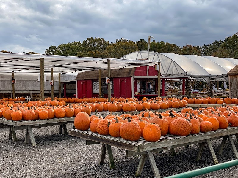 Fink's Country Farm photo 5