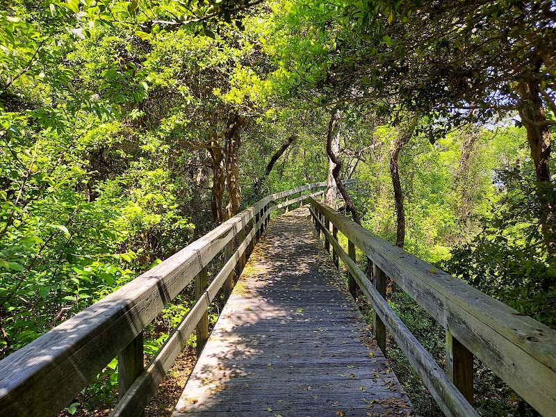 Fire Island National Seashore photo 5