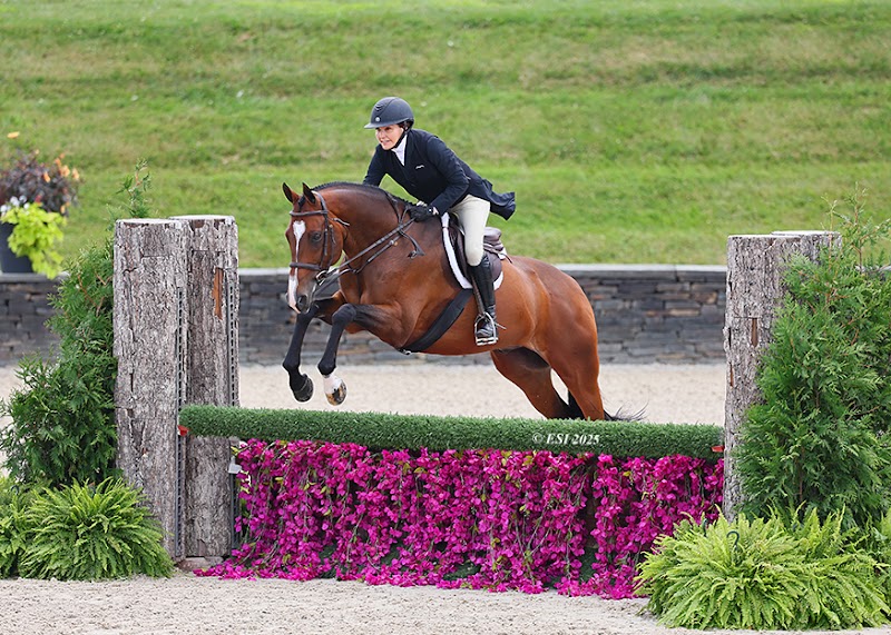 Firefly Farm photo 3