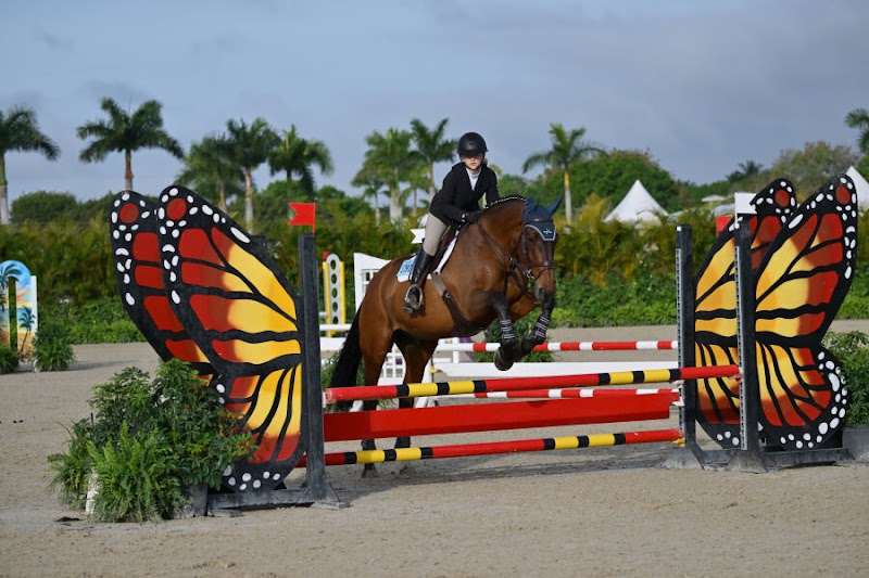 Firefly Farm photo 5