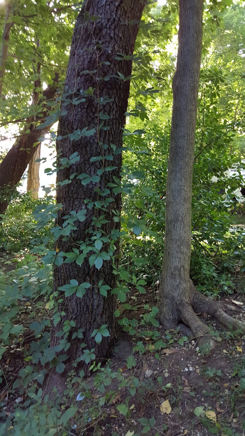 Flower Hill Village Park photo 3