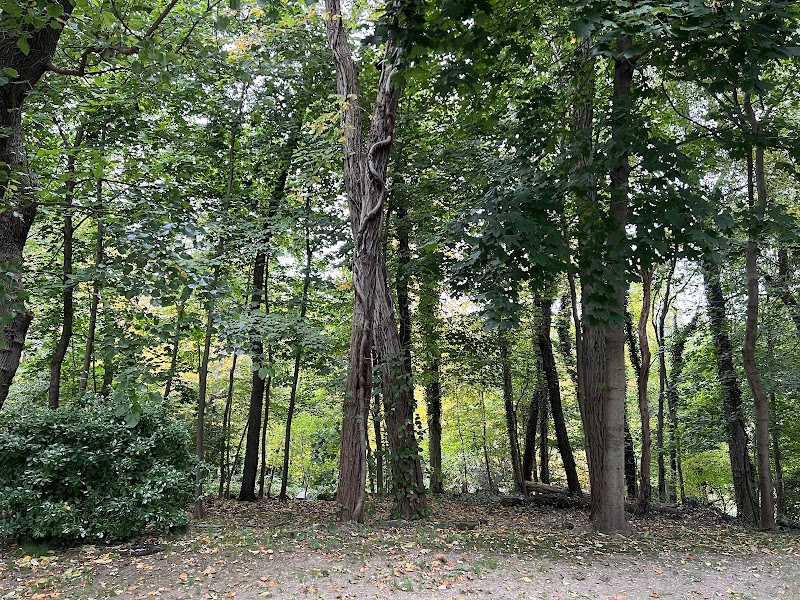 Flower Hill Village Park photo 4