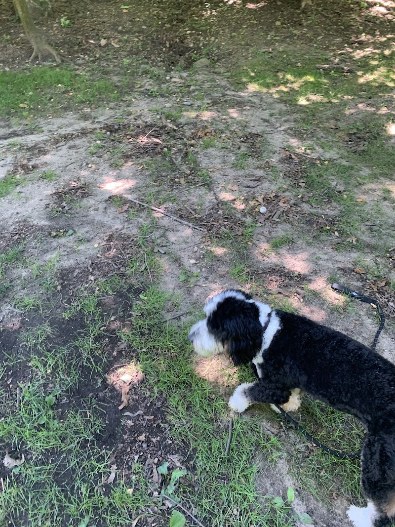 Flower Hill Village Park photo 5