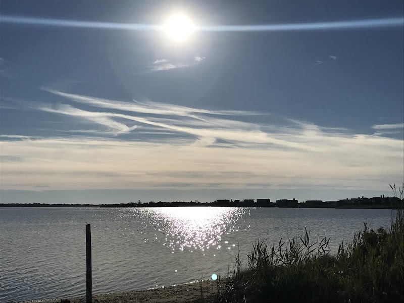 Flying Point Beach photo 5