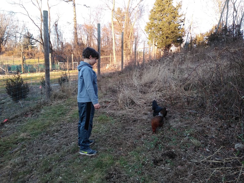 Fodor Farm photo 5