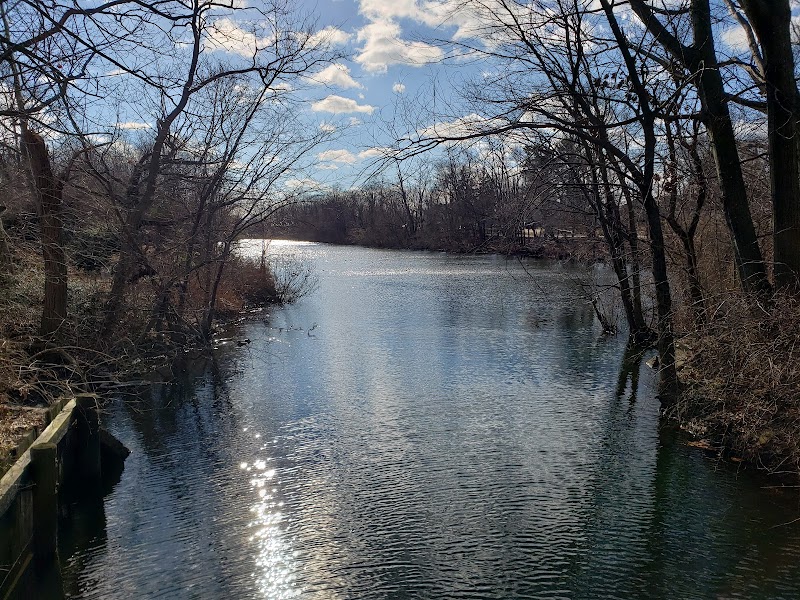 Forest City Community Park photo 2