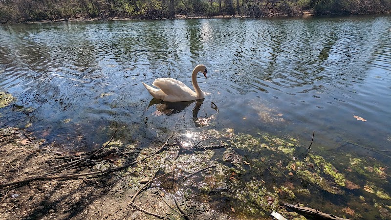 Forest City Community Park photo 3