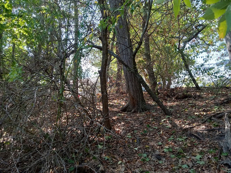 Forest City Community Park photo 4