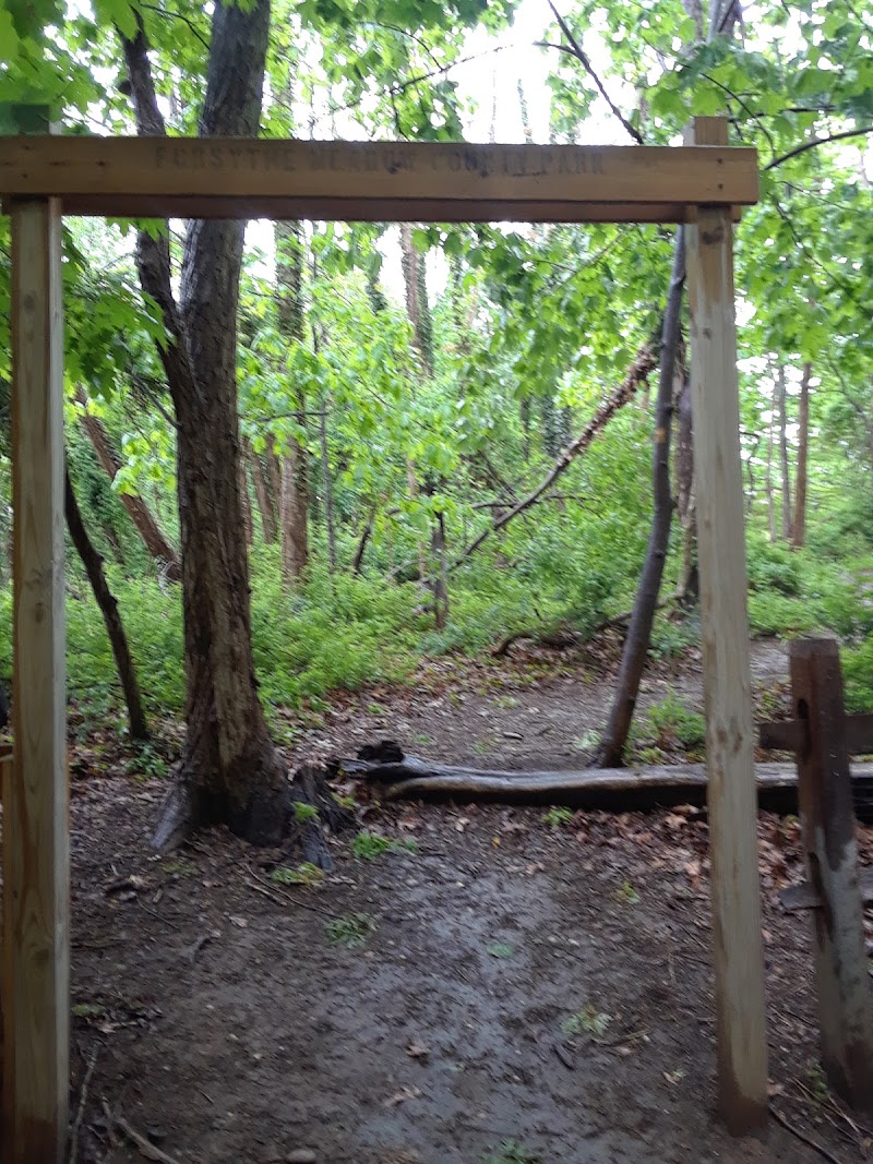 Forsythe Meadow County Park photo 3