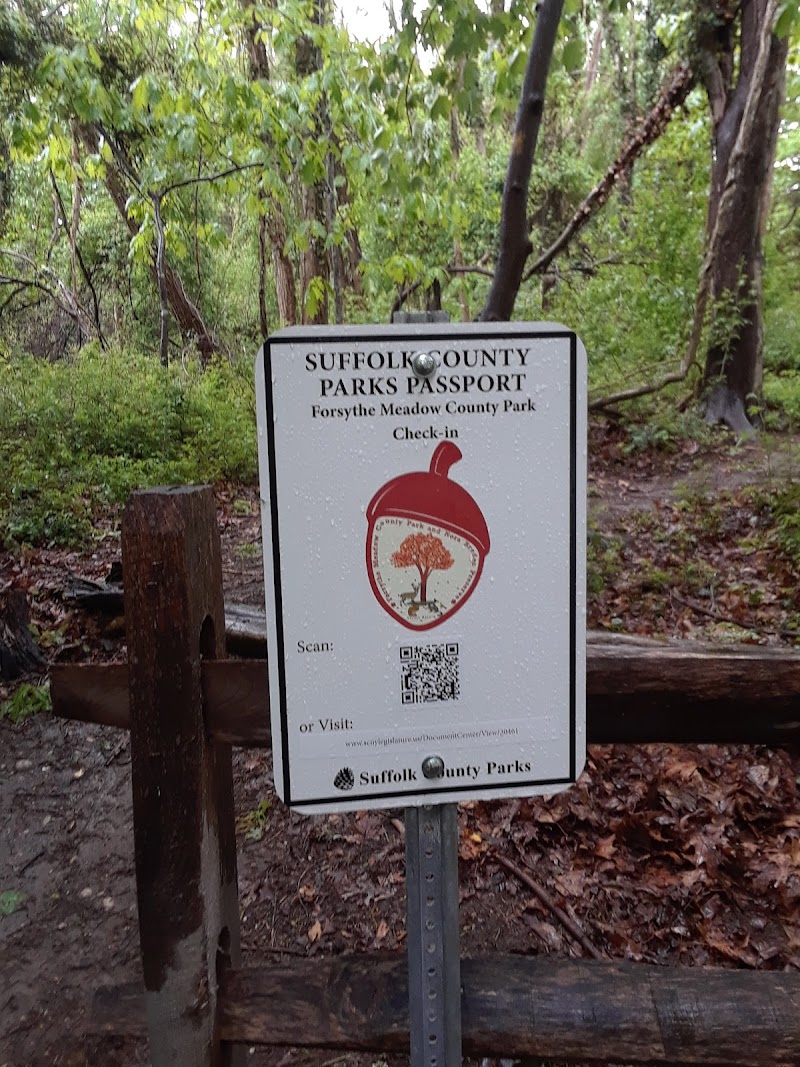 Forsythe Meadow County Park photo 4