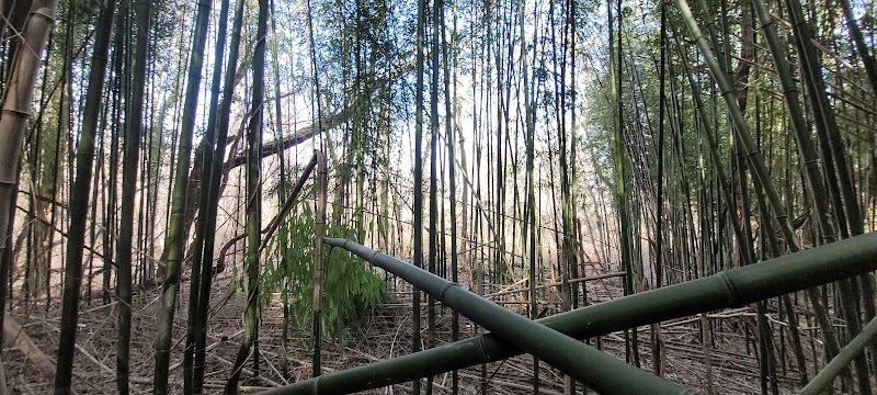 Forsythe Meadow County Park photo 5