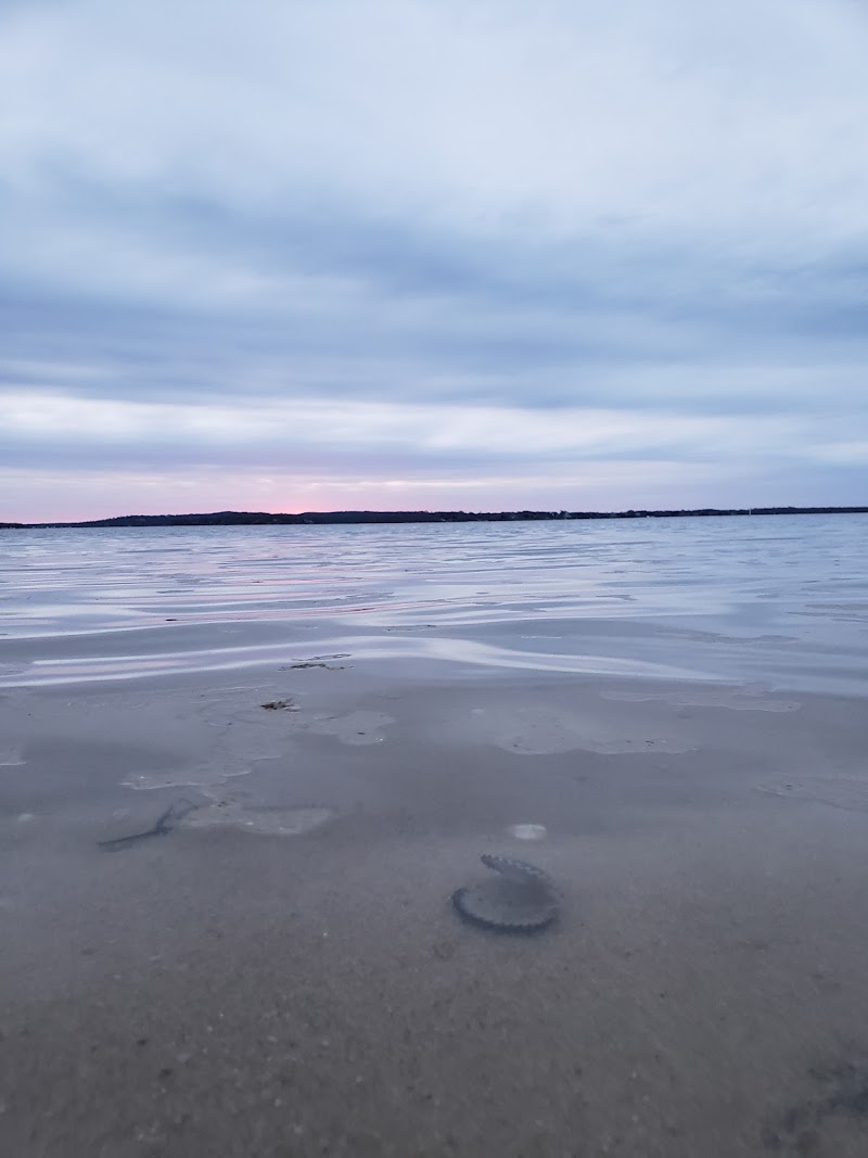 Founders Landing Park photo 3