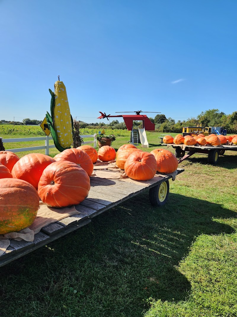 Fox Hollow Farms photo 2