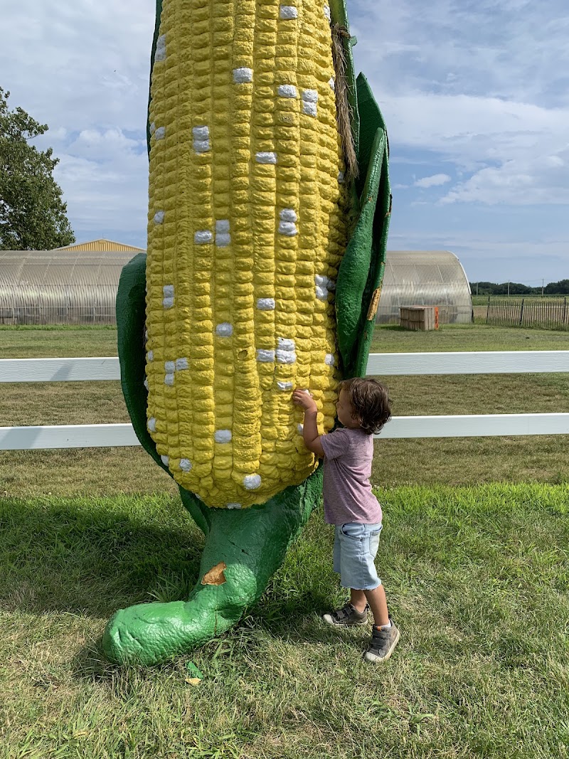 Fox Hollow Farms photo 3