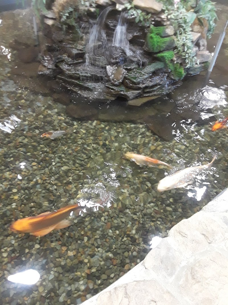 Freeport Northeast Park photo 4