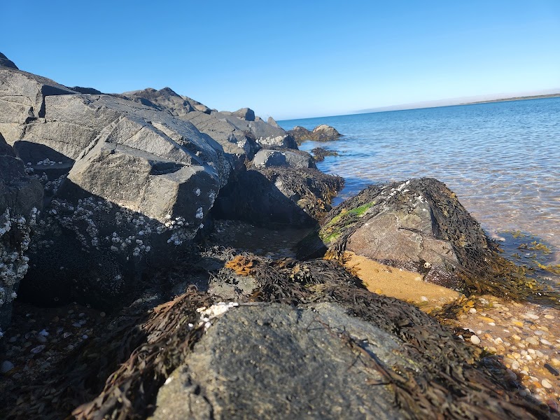 Fresh Pond Park, Amagansett photo 5