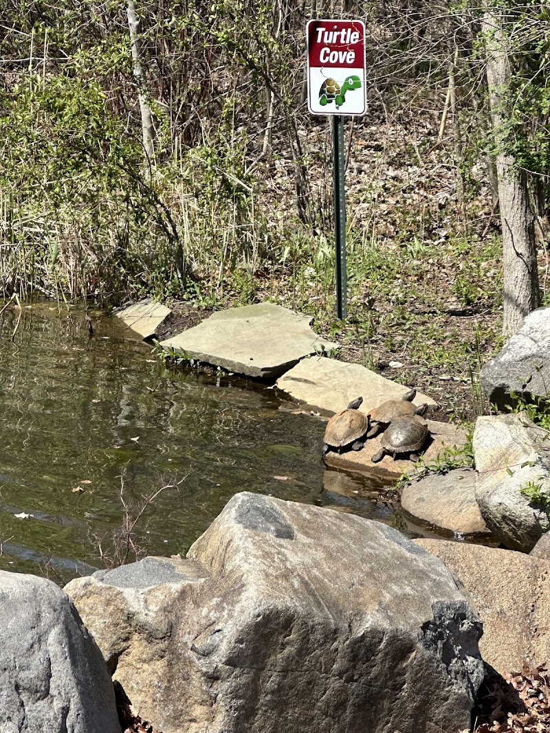 Gabriel Vitale Memorial Field photo 3