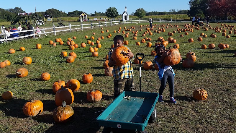Gabrielsen's Country Plant Farm photo 2