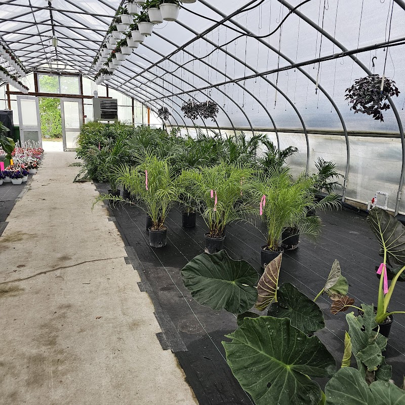 Gabrielsen's Country Plant Farm photo 3