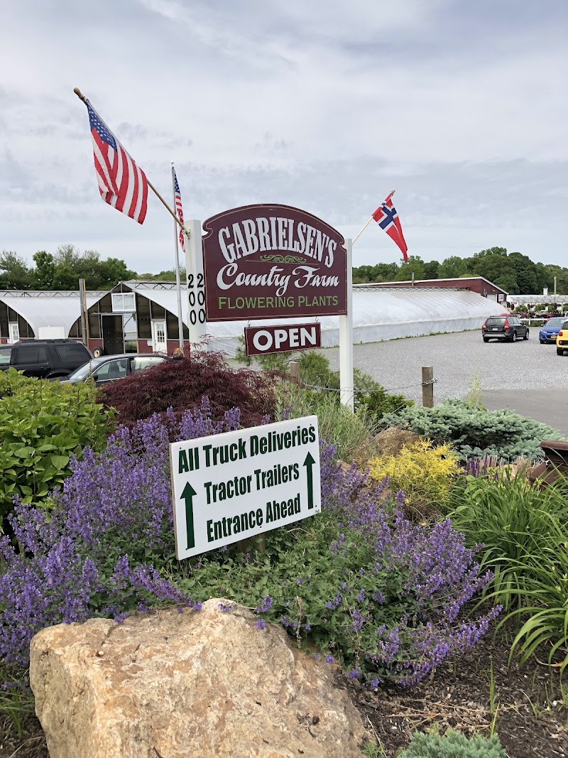 Gabrielsen's Country Plant Farm photo 4