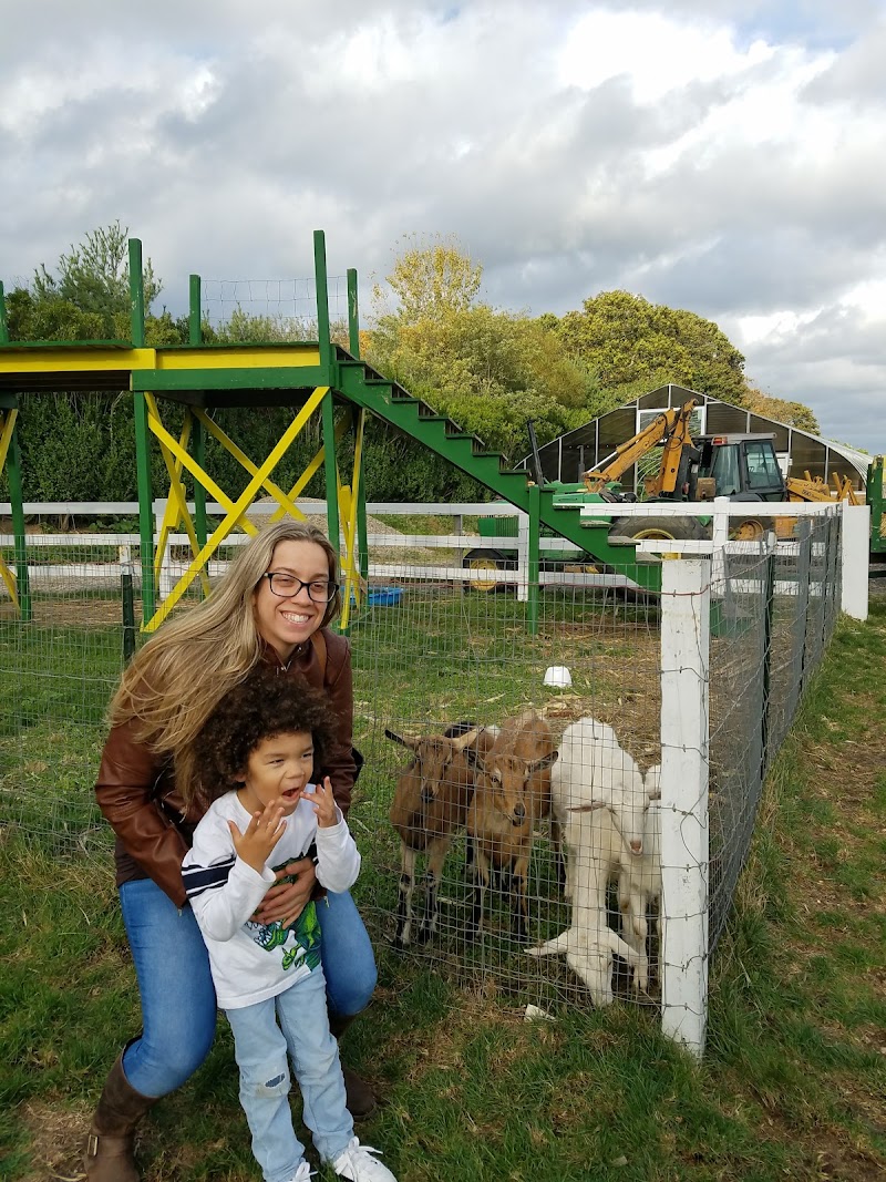 Gabrielsen's Country Plant Farm photo 5