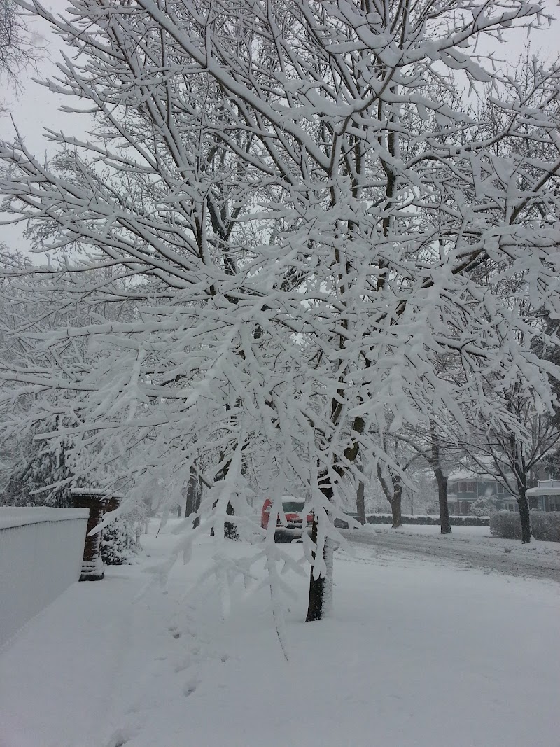 Garden City LIRR photo 3