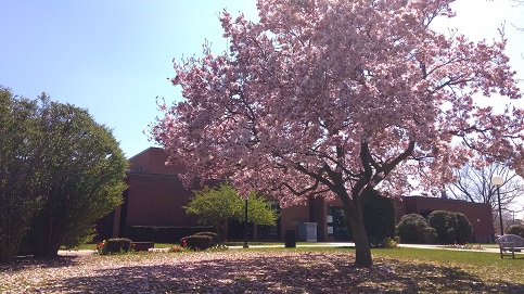 Garden City Public Library