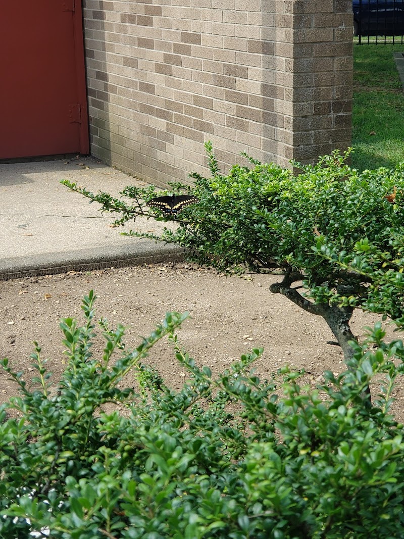 Garden City South Park photo 5