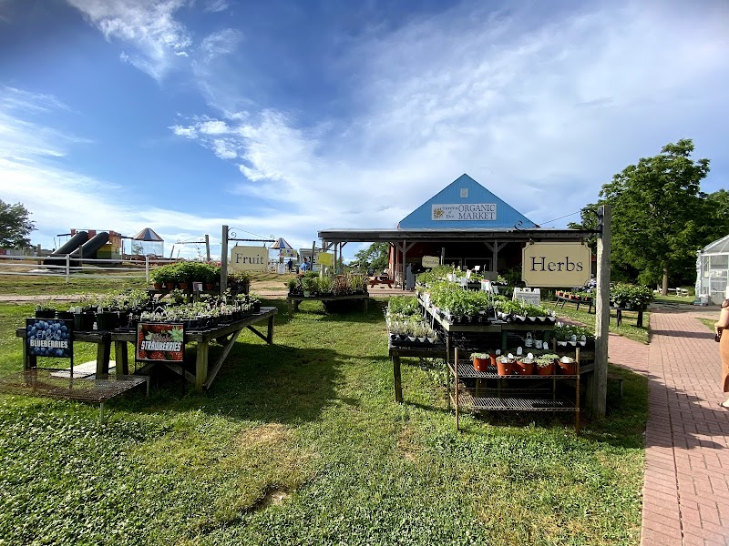 Garden of Eve Organic Farm photo 3