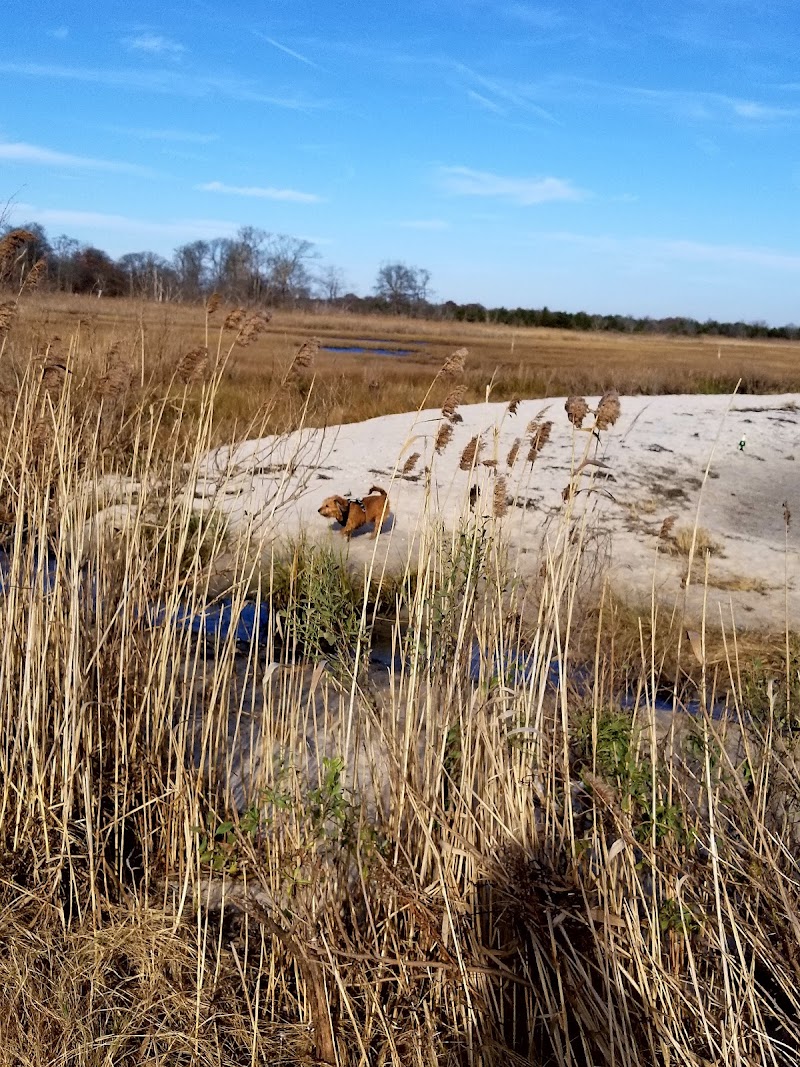 Gardiner County Park photo 4
